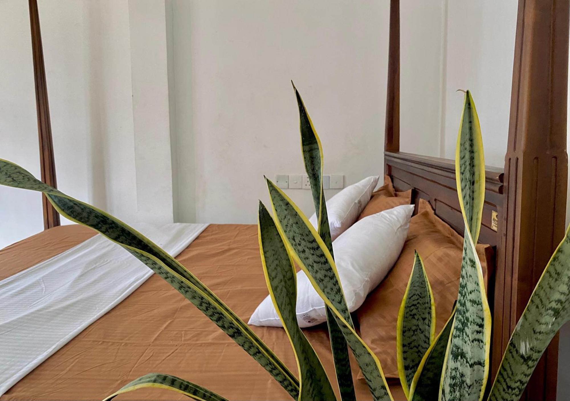 Sasmika Villa Surf And Yoga Hostel Уелигама Екстериор снимка