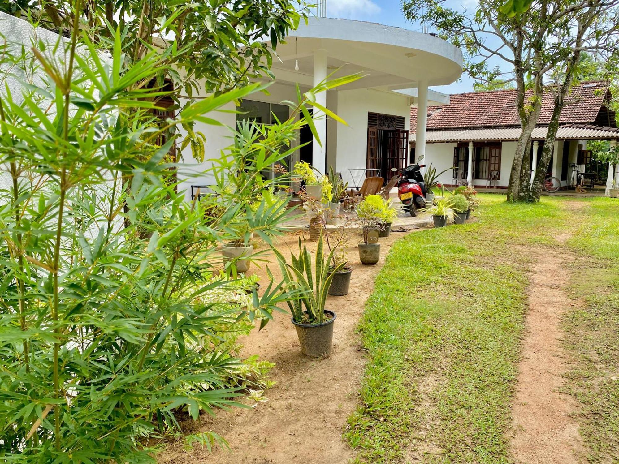 Sasmika Villa Surf And Yoga Hostel Уелигама Екстериор снимка