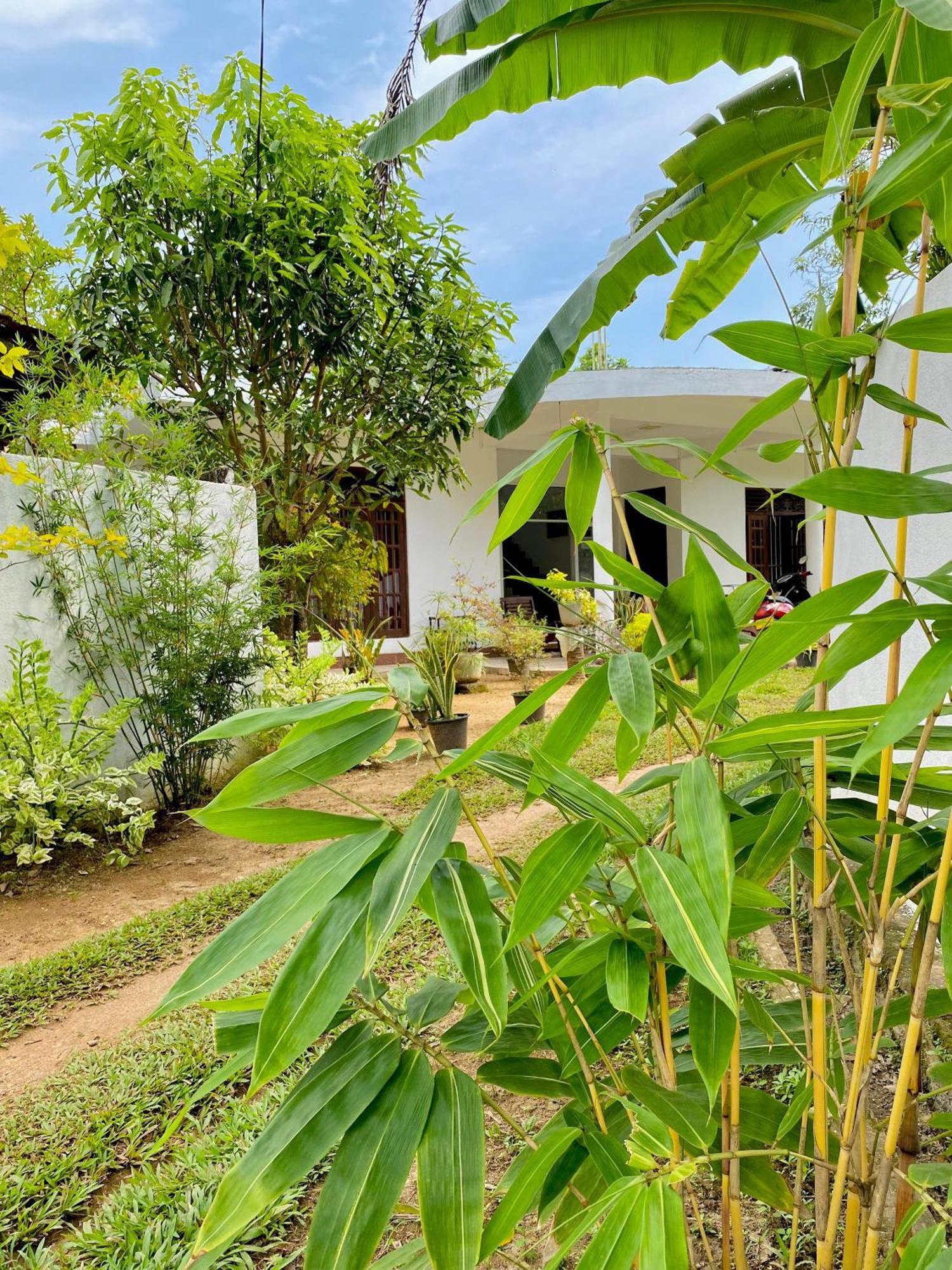 Sasmika Villa Surf And Yoga Hostel Уелигама Екстериор снимка